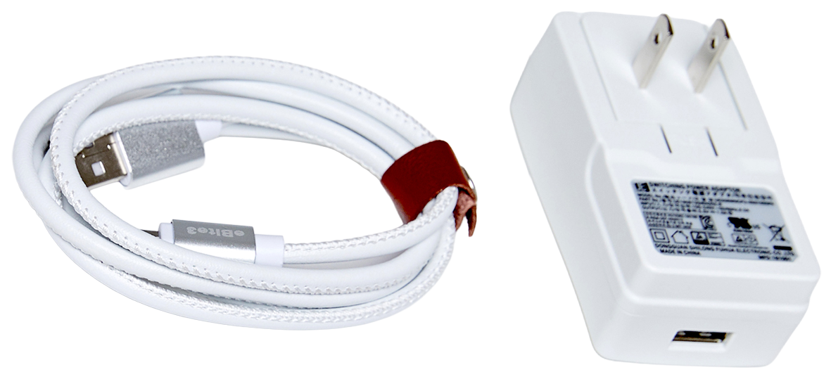 Chargeur de rechange avec câble USB